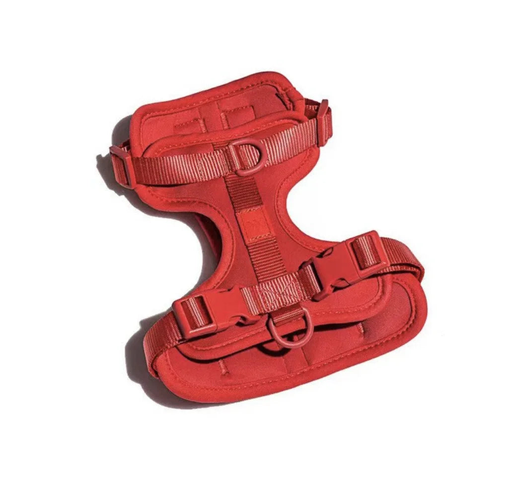 4-Piece Dog Harness & Leash Set - Waterproof & Bite-Proof for All Dogs