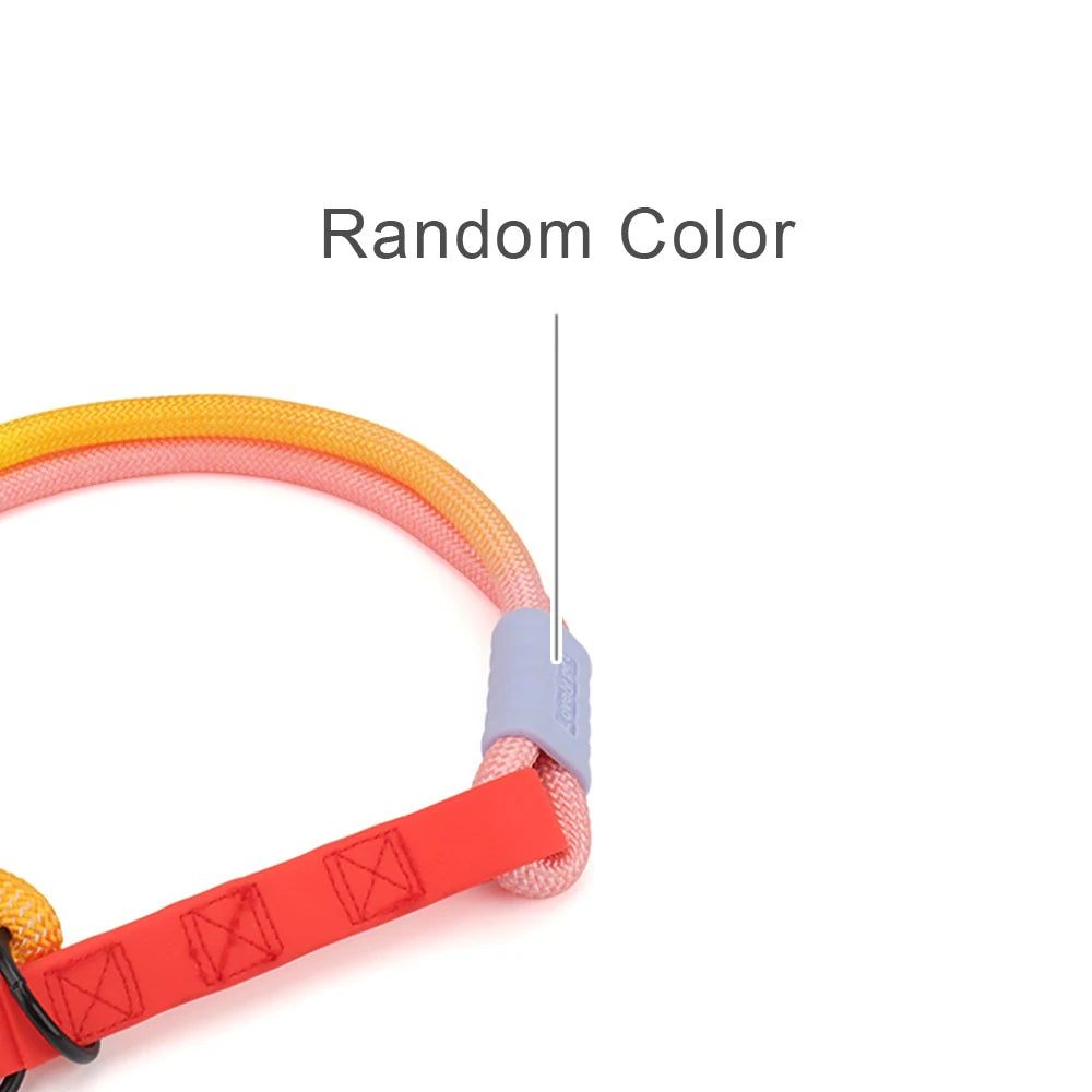 Colorful Dog Collar P-Chain Necklace - Puppy Pet Accessories