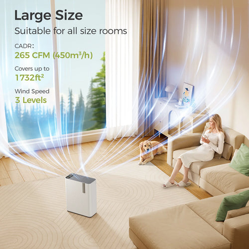 Air Purifier & Humidifier Combo - For Home Allergies, Pets & Dust