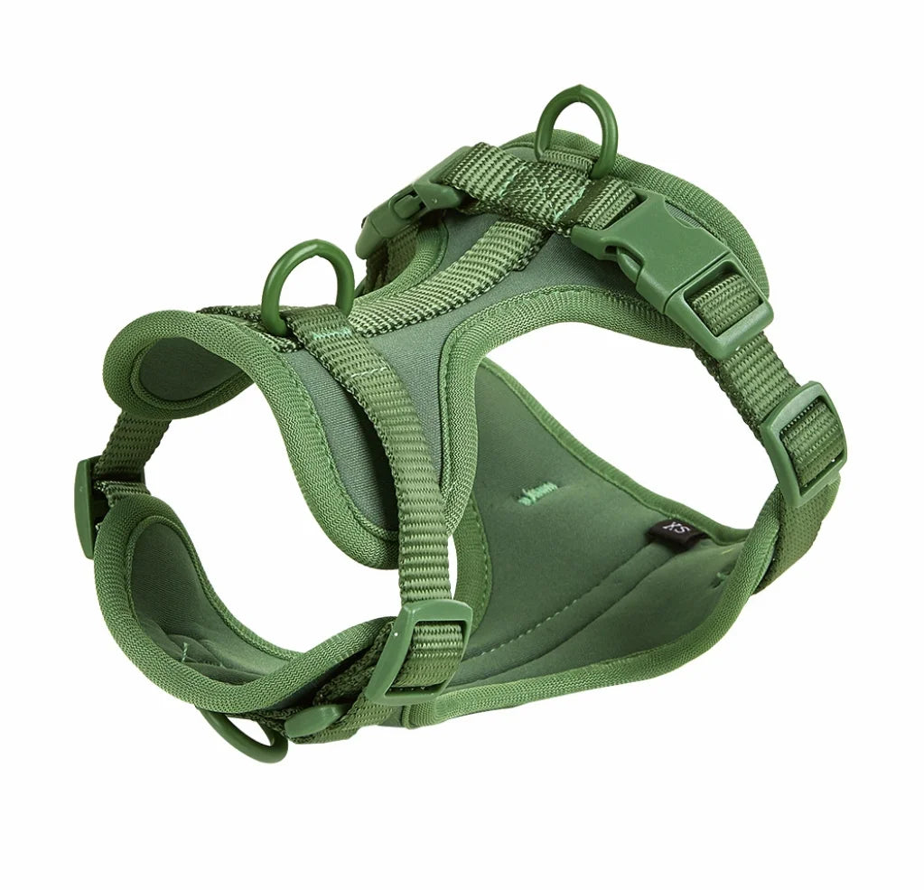 4-Piece Dog Harness & Leash Set - Waterproof & Bite-Proof for All Dogs