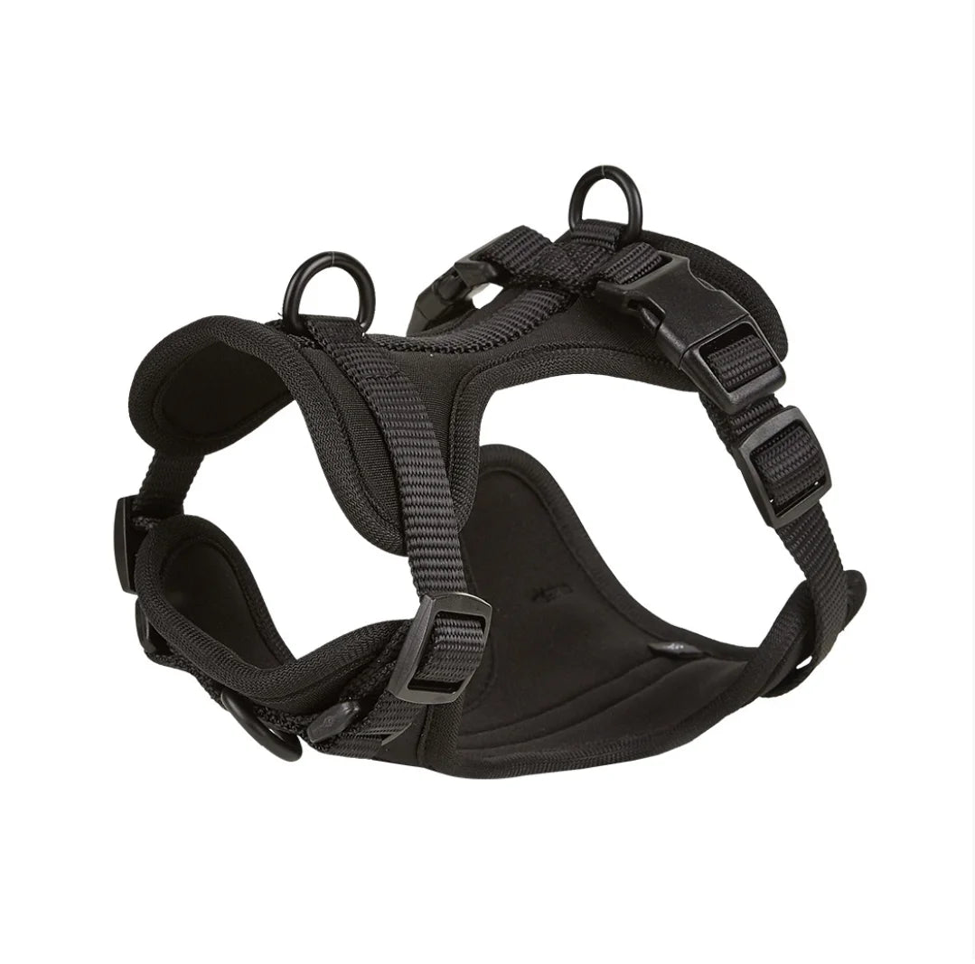 4-Piece Dog Harness & Leash Set - Waterproof & Bite-Proof for All Dogs
