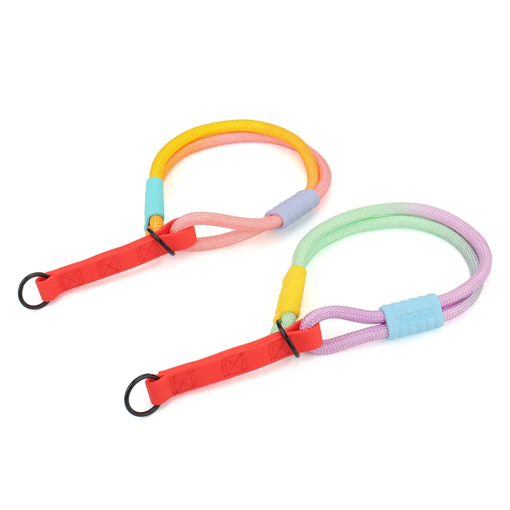 Colorful Dog Collar P-Chain Necklace - Puppy Pet Accessories