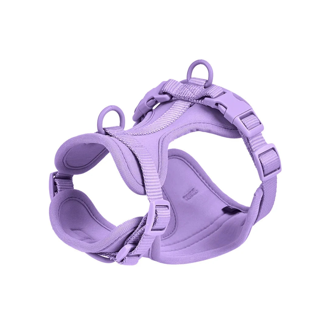 4-Piece Dog Harness & Leash Set - Waterproof & Bite-Proof for All Dogs