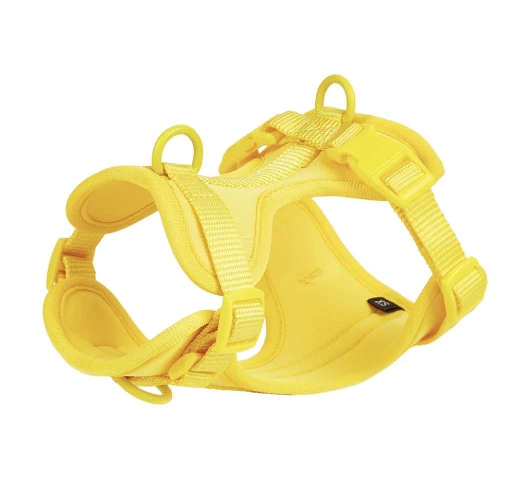 4-Piece Dog Harness & Leash Set - Waterproof & Bite-Proof for All Dogs