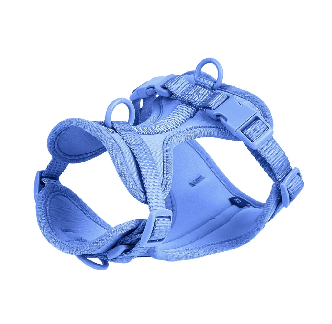 4-Piece Dog Harness & Leash Set - Waterproof & Bite-Proof for All Dogs