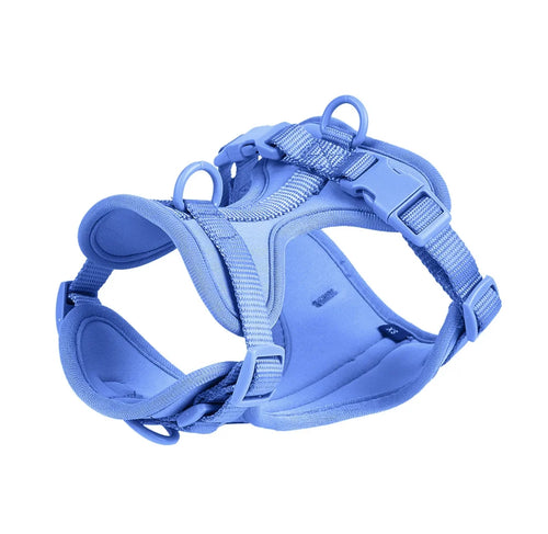 4-Piece Dog Harness & Leash Set - Waterproof & Bite-Proof for All Dogs