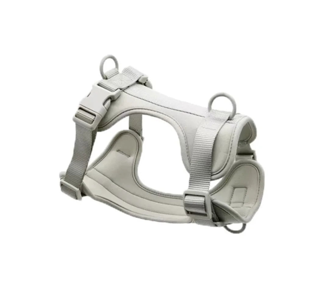 4-Piece Dog Harness & Leash Set - Waterproof & Bite-Proof for All Dogs