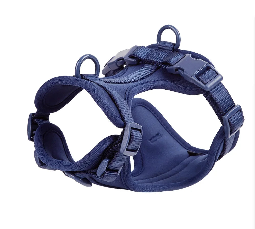 4-Piece Dog Harness & Leash Set - Waterproof & Bite-Proof for All Dogs